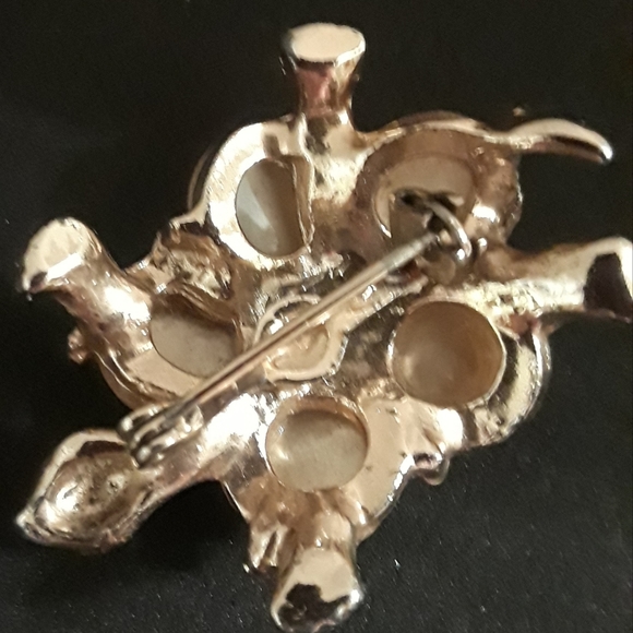 Pokey Turtles - Picture 5 of 5